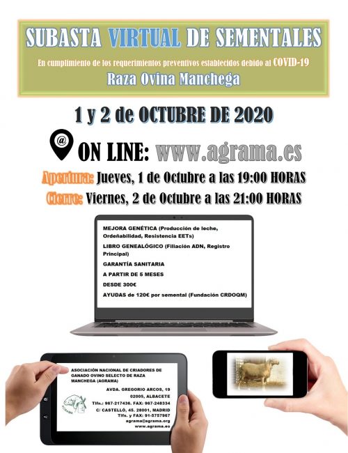 Publi_Subasta_OCT_2020